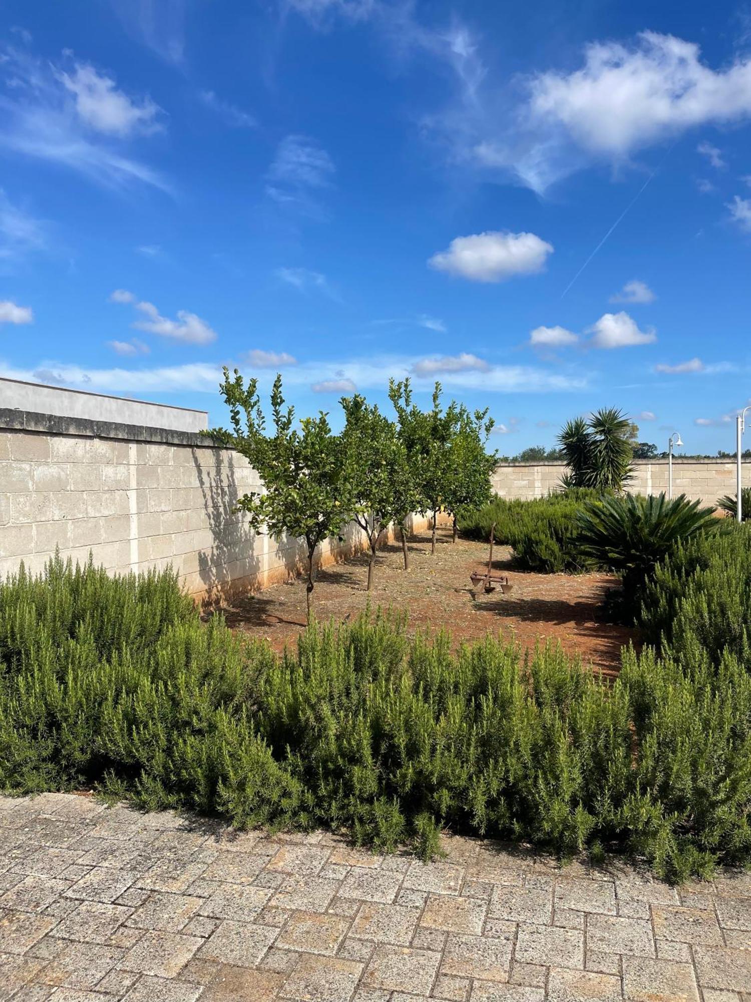 Masseria Don Bonifacio กัสเตลลานา กรอตเต ภายนอก รูปภาพ
