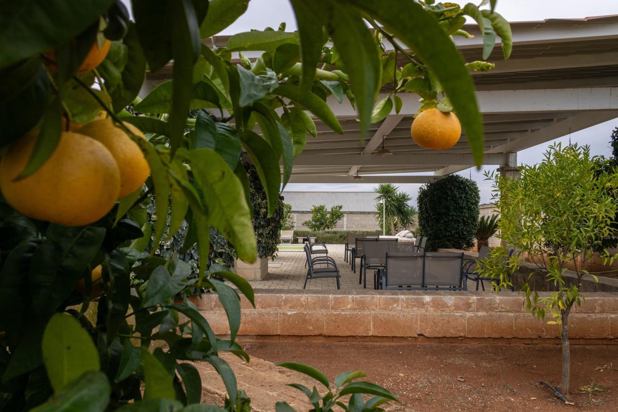 Masseria Don Bonifacio กัสเตลลานา กรอตเต ภายนอก รูปภาพ